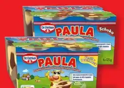 Lidl Dr. Oetker Paula Vanille-Pudding Angebot