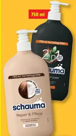 Lidl Schwarzkopf Schauma Shampoo Angebot