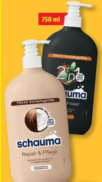 Lidl Schwarzkopf Schauma Shampoo Angebot