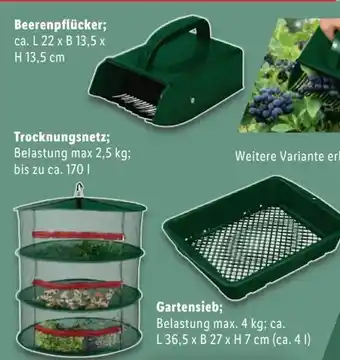 Lidl Parkside Gartenhelfer Angebot