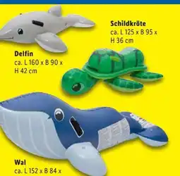 Lidl Playtive Ride-On Tiere Angebot