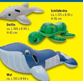 Lidl Playtive Ride-On Tiere Angebot