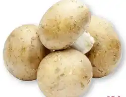 Scheck-in-Center Champignons Angebot