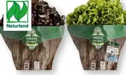 Scheck-in-Center Unsere Heimat Echt & Gut Bio Bunte Salate Angebot
