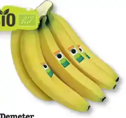 Scheck-in-Center Bio Idene Bananen Angebot