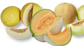 Scheck-in-Center Galia Melone Angebot