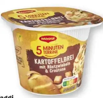 Scheck-in-Center Maggi 5 Minuten Terrine Angebot
