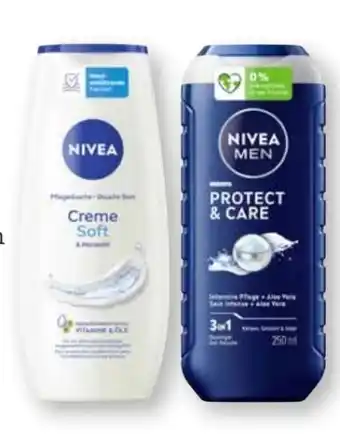 Scheck-in-Center Nivea Dusche Angebot