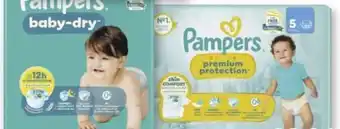 Scheck-in-Center Pampers Baby-Dry Windeln Angebot
