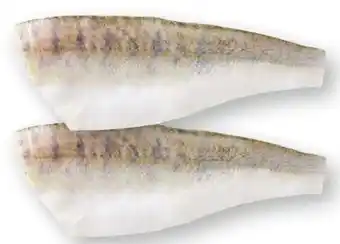 Scheck-in-Center Zanderfilets Angebot
