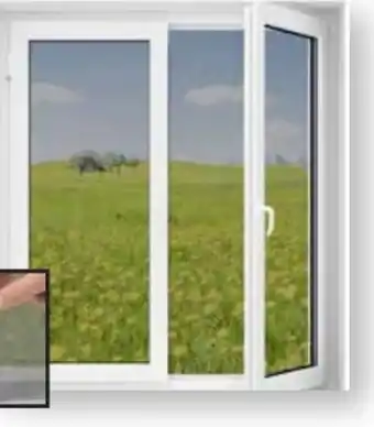 Scheck-in-Center easy! MAXX Fenster-Moskitonetz Magic Klick Angebot