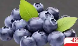 Edeka Unsere Heimat Echt & Gut Heidelbeeren Angebot