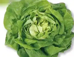 Edeka Unsere Heimat Echt & Gut Kopfsalat Angebot