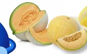 Edeka Cantaloupemelonen Angebot
