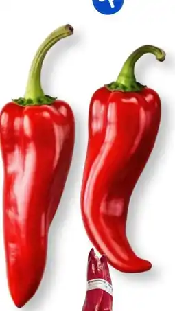 Edeka Bio Rote Spitzpaprika Angebot