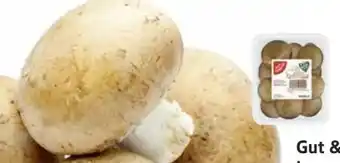 Edeka Gut & Günstig Champignons Angebot