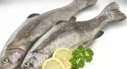 Edeka Bio Forellen Mariniert Angebot