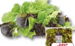 Edeka Unsere Heimat Echt & Gut Pflücksalat Angebot