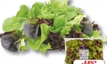 Edeka Unsere Heimat Echt & Gut Pflücksalat Angebot