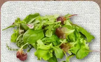 nahkauf Rewe Beste Wahl Wildkräuter Salat Angebot