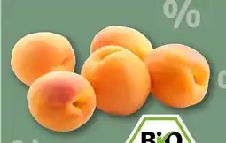 REWE Center Rewe Bio Aprikosen Angebot