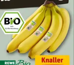 REWE Center Rewe Bio Bio-Bananen Angebot