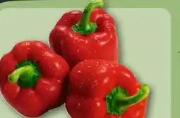 REWE Center Rote Paprika Angebot
