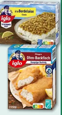 REWE Center Iglo Filegro-Ofen-Backfisch Angebot