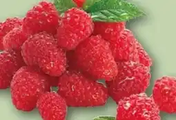 REWE Center Rewe Regional Himbeeren Angebot