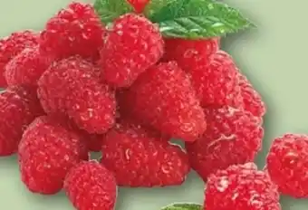 REWE Center Rewe Regional Himbeeren Angebot