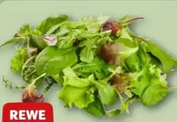 REWE Center Rewe Beste Wahl Wildkräuter Salat Angebot
