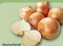REWE Center Gelbe Speisezwiebeln Angebot
