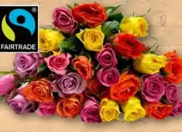 REWE Center Fairtrade-Rosen Angebot