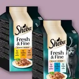 REWE Center Sheba Katzennahrung Fresh & Fine Angebot