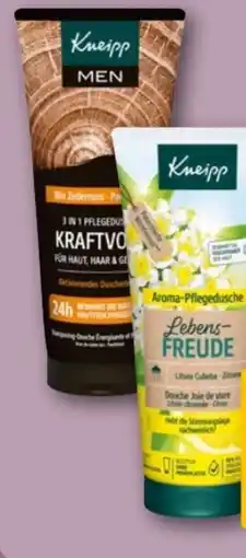 REWE Center Kneipp Duschgel Angebot