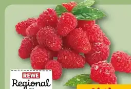 REWE Rewe Regional Himbeeren Angebot