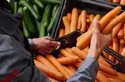 REWE Rewe Bio Bio-Speisemöhren Angebot