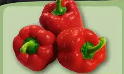 REWE Rote Paprika Angebot