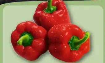 REWE Rote Paprika Angebot