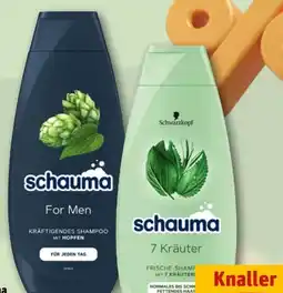REWE Schwarzkopf Schauma Shampoo 7 Kräuter Angebot