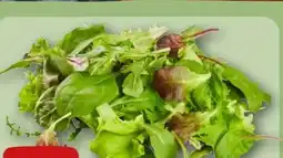 REWE Rewe Beste Wahl Wildkräuter Salat Angebot