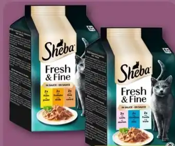 REWE Sheba Katzennahrung Fresh & Fine Angebot