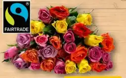REWE Rosen Angebot