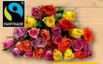 REWE Rosen Angebot