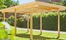 BayWa Carport Lärche Angebot