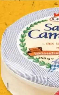 PENNY Coburger Sahne Camembert Angebot