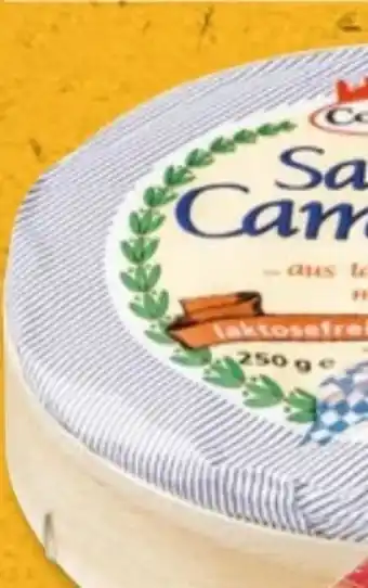PENNY Coburger Sahne Camembert Angebot