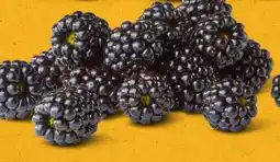 PENNY Marktliebe Regional Brombeeren Angebot