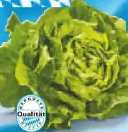 Netto Marken-Discount Heimat Kopfsalat Angebot