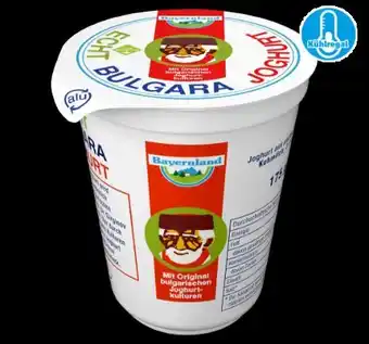 PENNY Bayernland Echt Bulgara Joghurt Angebot
